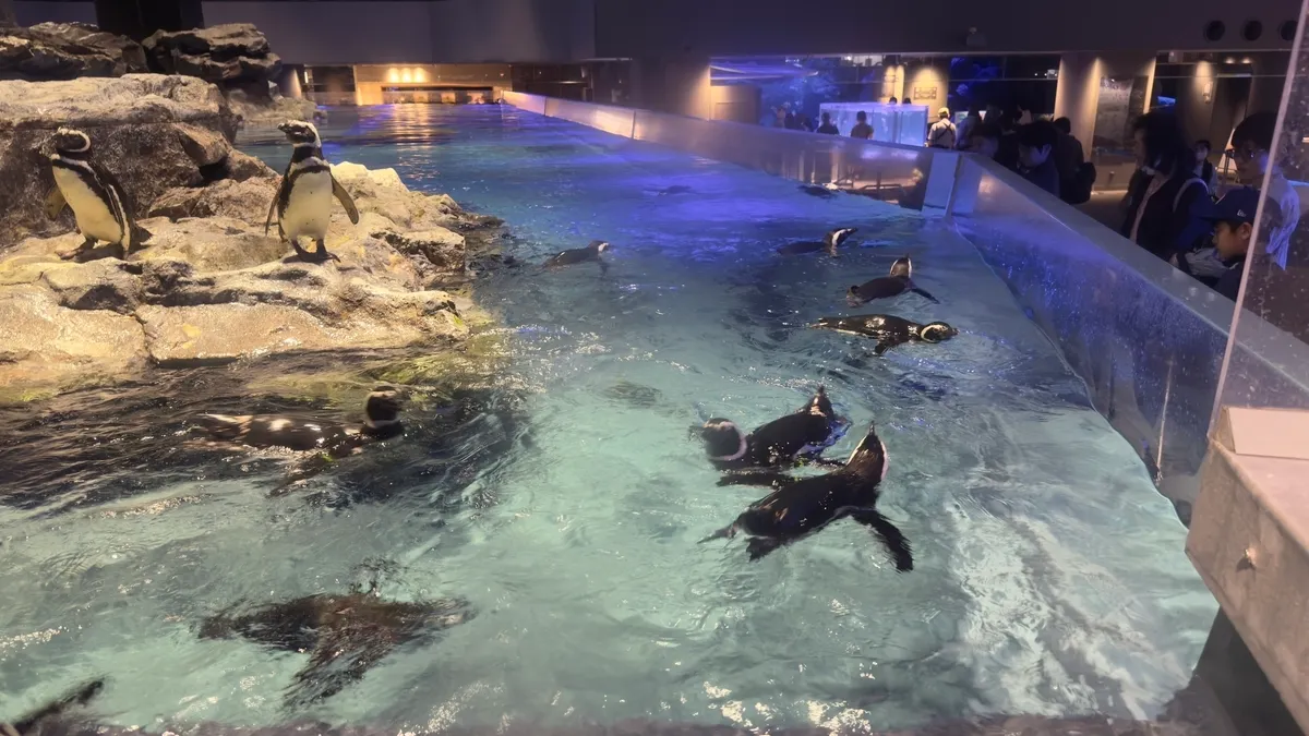 ペンギン