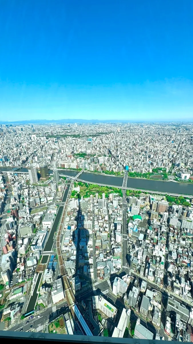 スカイツリーの影
