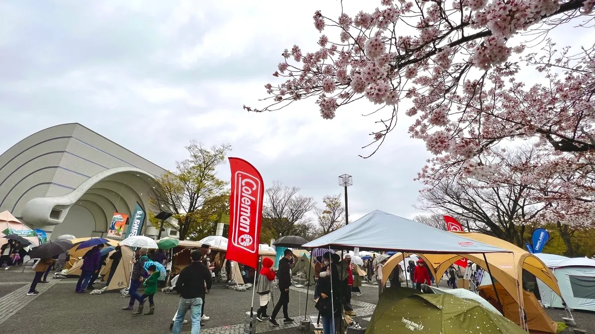 春の雨と桜