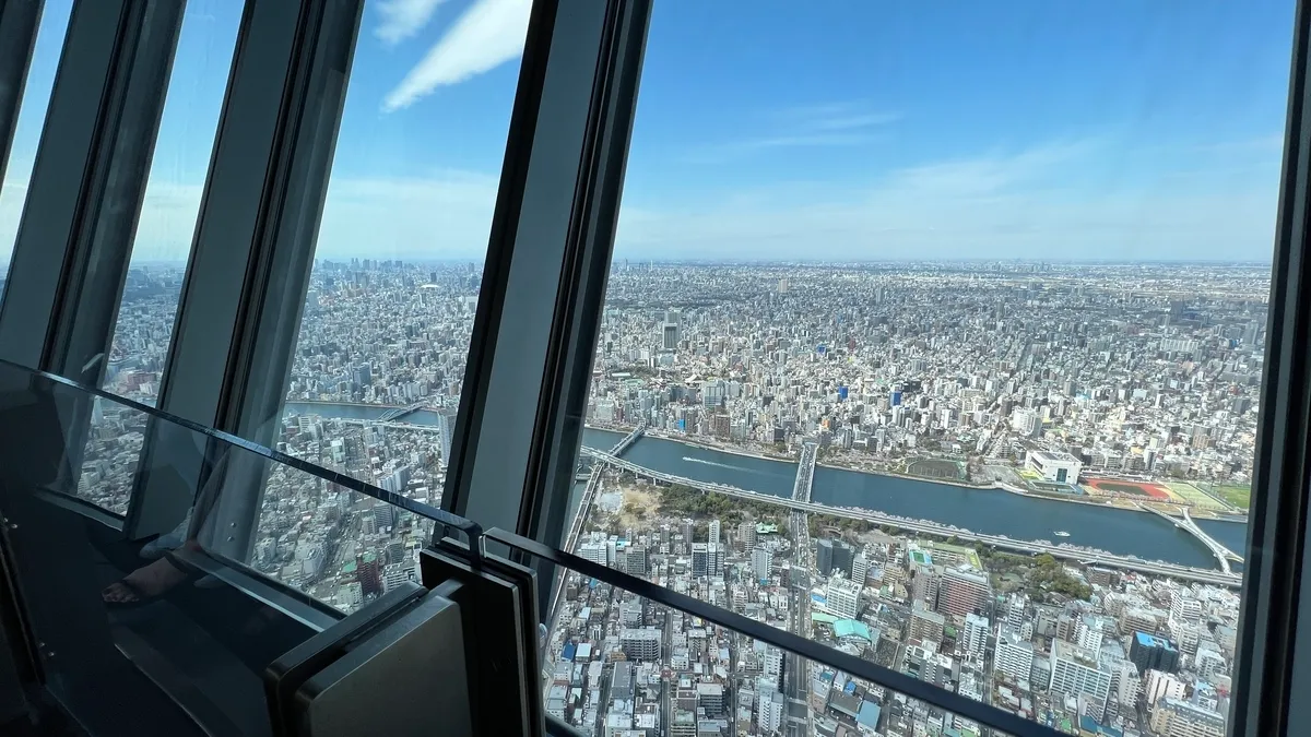 展望デッキからの景色