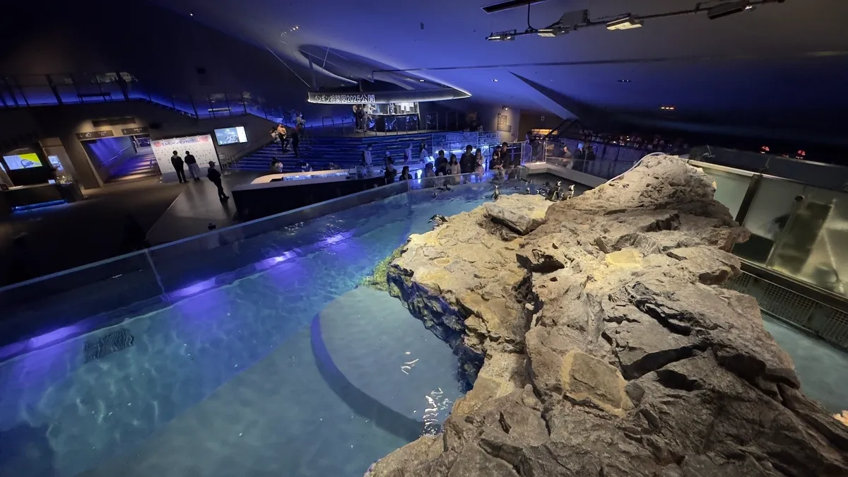 水族館内