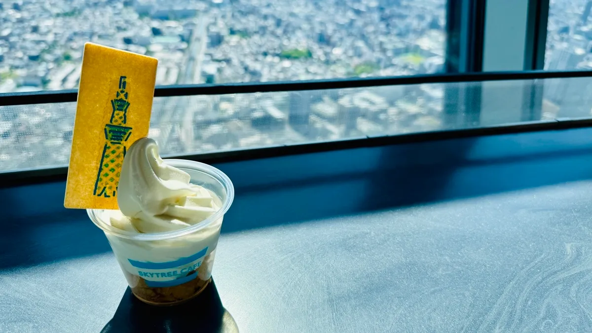 スカイソフト