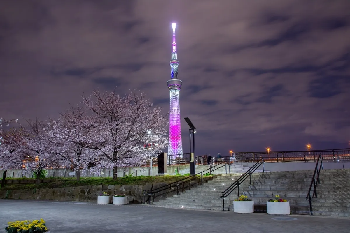 隅田公園からのスカイツリーライトアップ