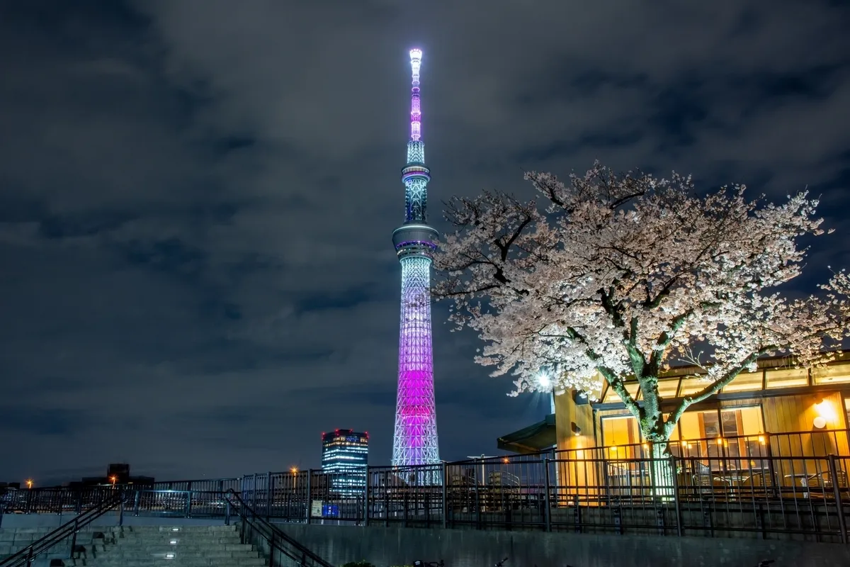 隅田公園からのスカイツリーライトアップ