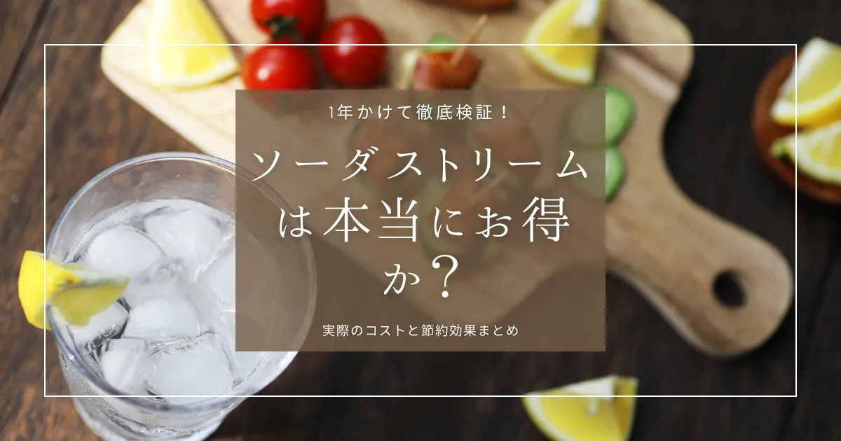 1年かけて徹底検証！ソーダストリームは本当にお得か？実際のコストと節約効果まとめ